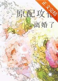 ԭ�乥�������