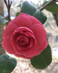 ��������֮����