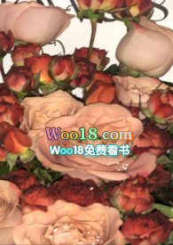 ����õ��������NPH��