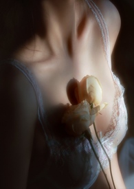 �蹷��Ⱥ(NPHABO)